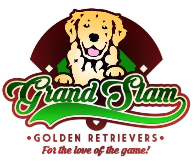 Grand Slam Goldens Logo